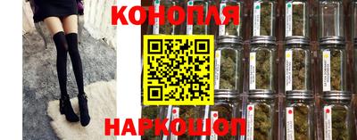 молекула духа Пенза