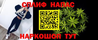 молекула духа Пенза