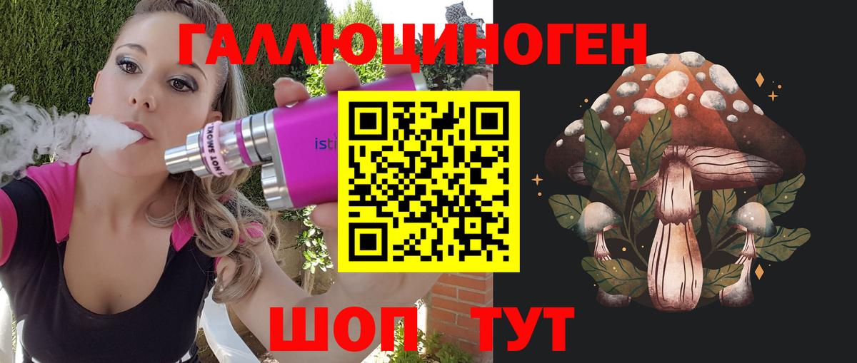 Галлюциногенные грибы Psilocybe Рославль